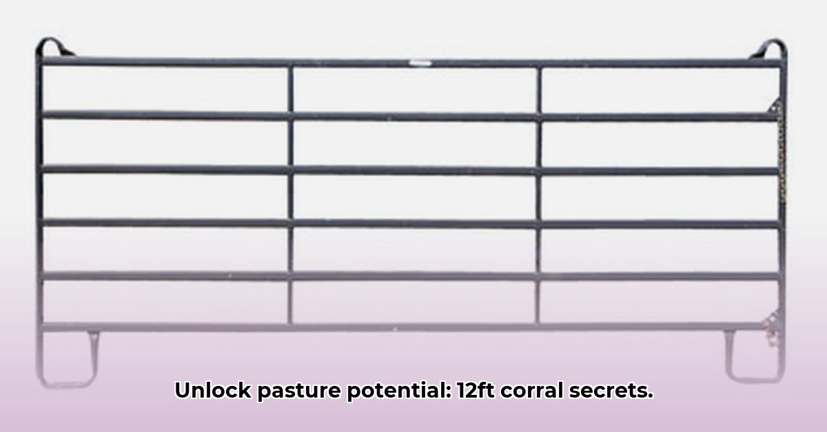 12-ft-corral-panels-tractor-supply